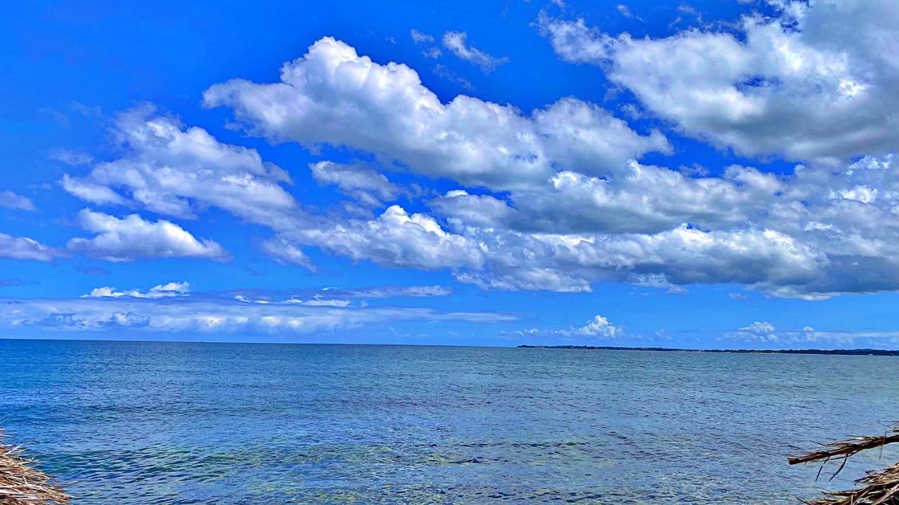 Oceanfront Condo W/ Free Parking + High Speed Wifi 内格里尔 外观 照片